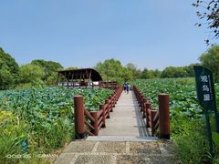 -长兴太湖图影湿地文化园