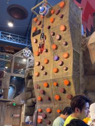 -卡通尼·Safari非洲探索乐园·生日会(金桥国际商业广场店)