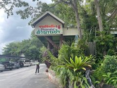 -绿光森林餐厅