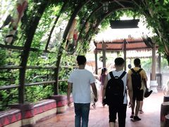 -厦门方特水上乐园