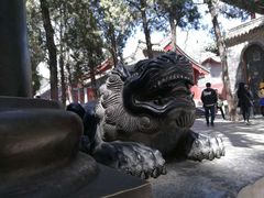 -嵩山少林文化旅游景区