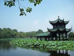 -桂湖森林公园
