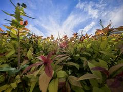 -长春公园(普阳街道)