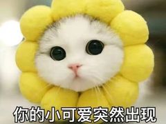 -MIMI FASO(古仓店)