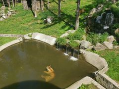 -横道河子东北虎林园