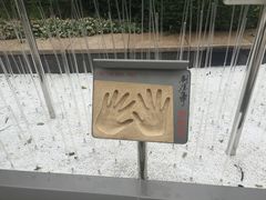 -星光大道