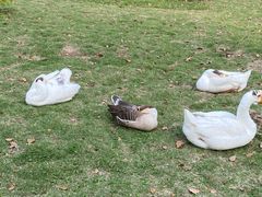 -惠洛克国际儿童之家(绿博园中心)