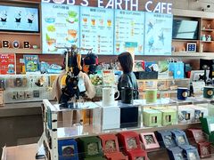 -抱抱地球咖啡馆(国家海洋博物馆店)