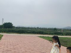 -君乐宝优致牧场
