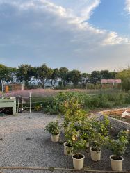 -DORA kids 朵拉儿童摄影花园店