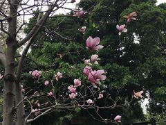 -乌山风景区