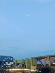 -小蜜蜂农场(凯德七宝购物广场店)