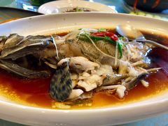 东星斑清蒸-旺顺阁海鲜广场(亚运村店)