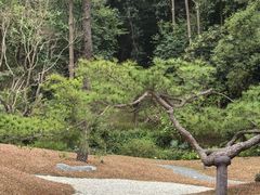 -云溪植物园