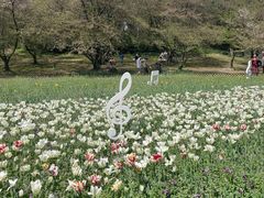 -苏州上方山国家森林公园