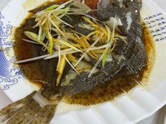 清蒸多宝鱼-北戴河庆山饭店·海鲜砂锅粥(北戴河黑石路店)