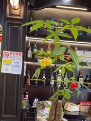 -豪帅男士理容馆