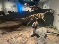 -自贡恐龙博物馆