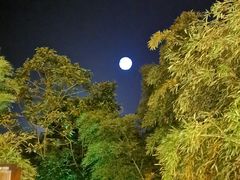 -天目湖御水温泉·度假酒店