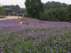 IMG_2008-保利石象湖景区