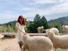-神户市立六甲山牧场