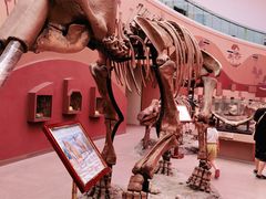 -陕西自然博物馆