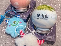 -吴山山·椰子酸奶(天河南店)