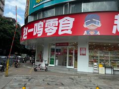 -赵一鸣零食(广东佛山大沥镇嘉洲店)