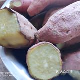 像土豆 芋头 糯米 面包蛋糕