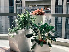 -百荣世贸商城