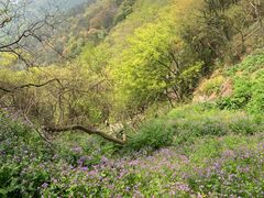 -虞山风景区