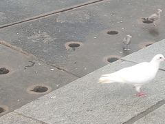 -星海广场