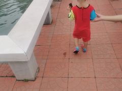 -柳浪游泳场