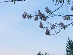 -沂蒙山旅游区龟蒙景区