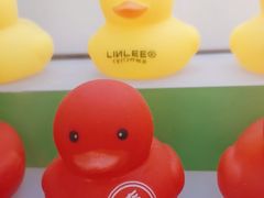 -LINLEE林里·手打柠檬茶(锦江太古里店)