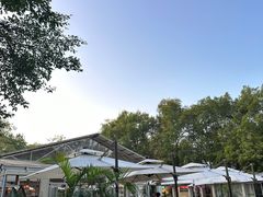 -芭厘农庄老字号·清远鸡