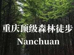 -山王坪喀斯特国家生态公园