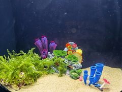 -欢乐海岸海洋奇梦馆
