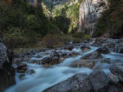 -派斯俊·本味(解放南路店)