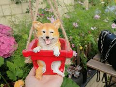 -喜柴咖啡·柴犬狗咖