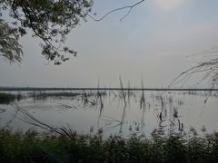 -野鸭湖国家湿地公园