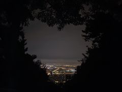 -惠山国家森林公园