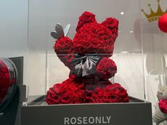 -ROSEONLY诺誓(广州K11店)