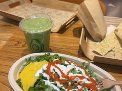 -油梨树 AVOCADO TREE(亮马桥店)