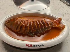 -阿五黄河大鲤鱼(纬三路店)