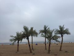 -金梦海湾浴场