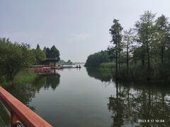 -贡湖湾湿地公园