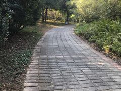 -南沙蒲洲花园