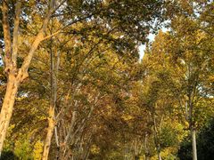 -河南省黄河迎宾馆