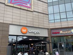 -Wagas沃歌斯(汇智店)